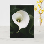 Calla Lily Wenskaart (geen grens) Kaart (Gele Bloem)