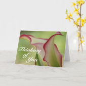 Calla Lily Wenskaart Kaart (Gele Bloem)