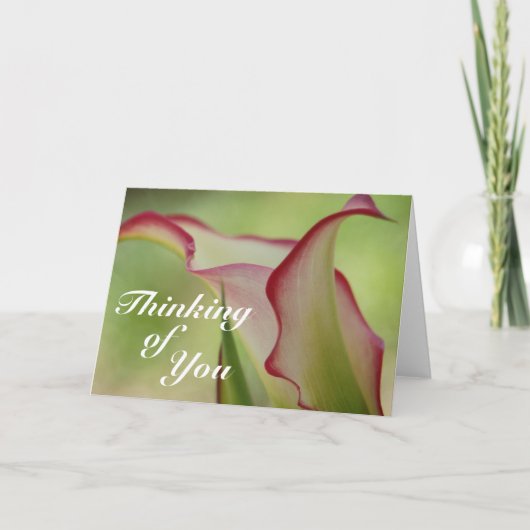 Calla Lily Wenskaart Kaart (Voorkant)