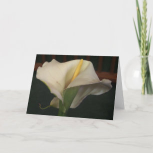 Calla Lily Wenskaart Kaart