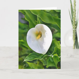 Calla Lily White Flower Art Note Kaart