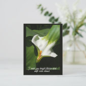 Calla Lily, Zantedeschia Briefkaart (Staand voorkant)