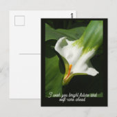 Calla Lily, Zantedeschia Briefkaart (Voorkant / Achterkant)