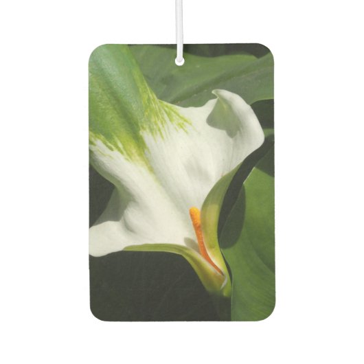 Calla Lily, Zantedeschia Luchtverfrisser (Voorkant)