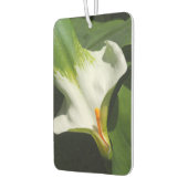 Calla Lily, Zantedeschia Luchtverfrisser (Links)