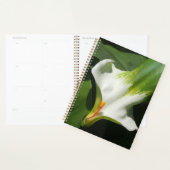Calla Lily, Zantedeschia Planner (Display)