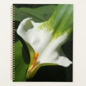 Calla Lily, Zantedeschia Planner (Voorkant)