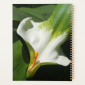 Calla Lily, Zantedeschia Planner (Achterkant)