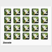 Calla Lily, Zantedeschia Vierkante Sticker (Vel)