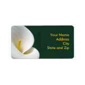 Calla op zwart etiket (Voorkant)