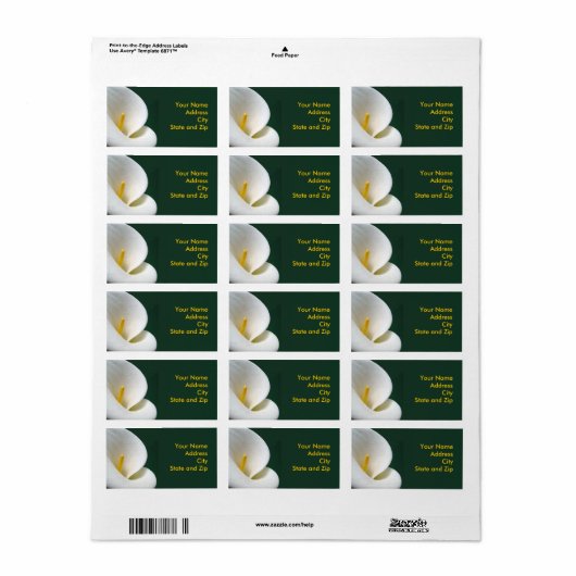 Calla op zwart etiket (Full Sheet)