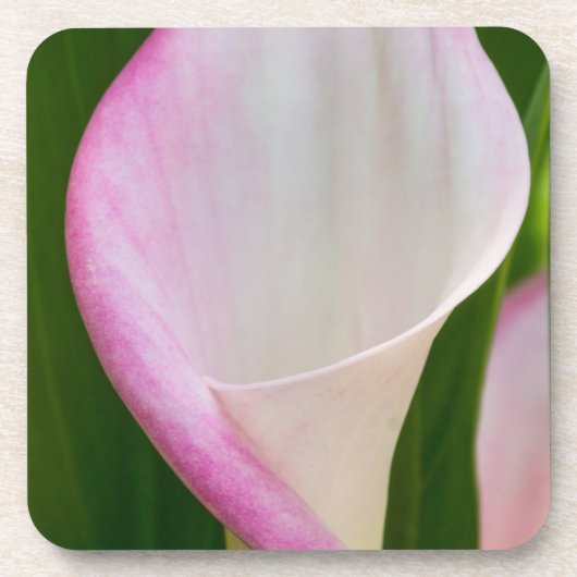 Calla Pano Bier Onderzetter (Voorkant)