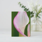Calla Pano Briefkaart (Staand voorkant)