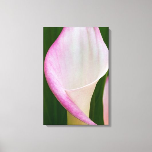 Calla Pano Canvas Afdruk (Voorkant)