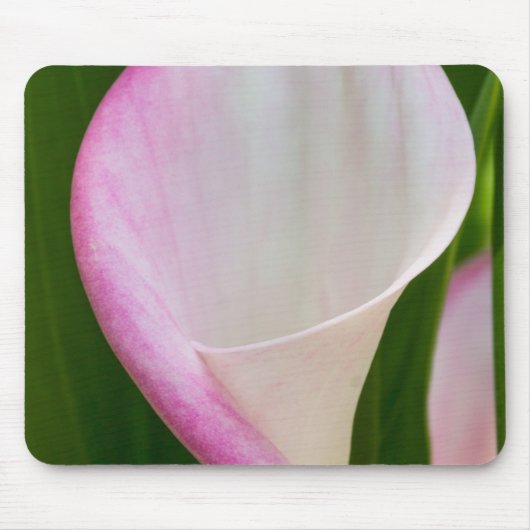 Calla Pano Muismat (Voorkant)