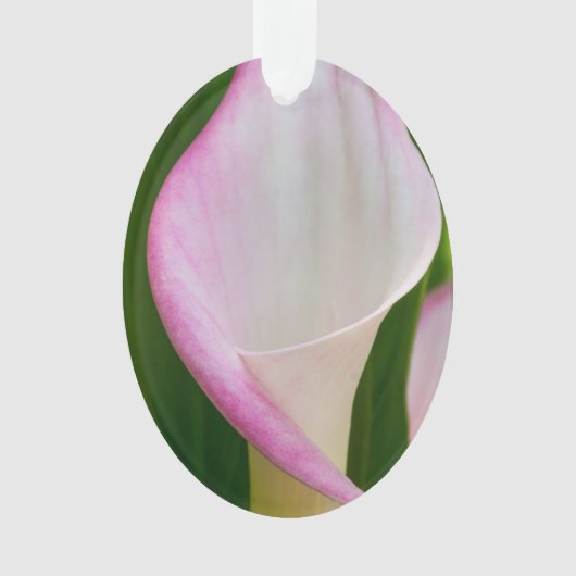 Calla Pano Ornament (voorkant)