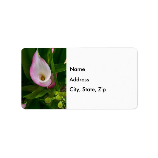 Calla Roll Address Label (Voorkant)