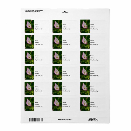 Calla Roll Address Label (Full Sheet)
