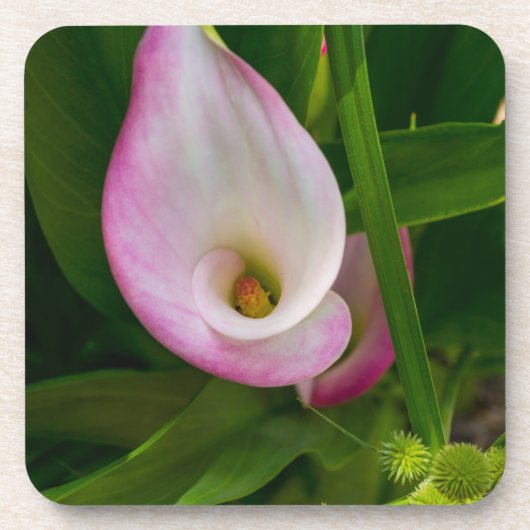 Calla Roll Bier Onderzetter (Voorkant)