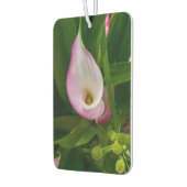 Calla Roll Luchtverfrisser (Links)