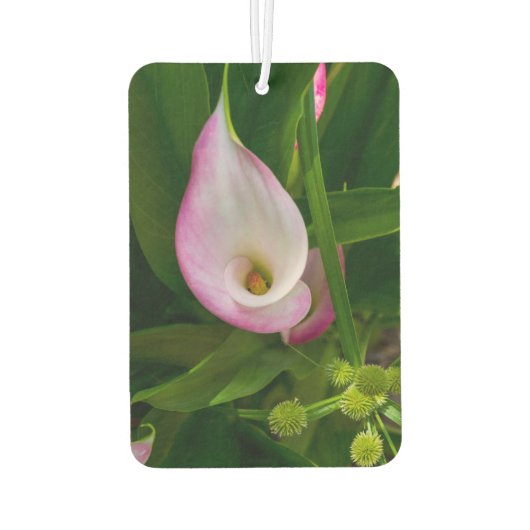 Calla Roll Luchtverfrisser (Achterkant)