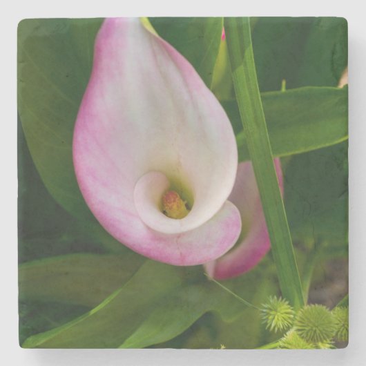 Calla Roll Stenen Onderzetter (Voorkant)