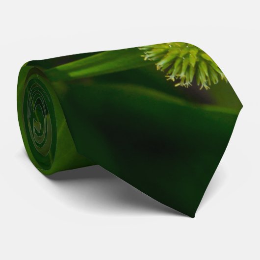 Calla Roll Stropdas (Opgerold)