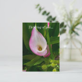 Calla Roll Thinking You Briefkaart (Staand voorkant)
