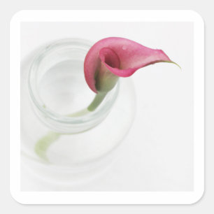 Calla Square-Sticker Vierkante Sticker
