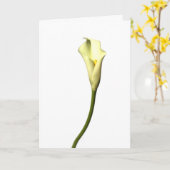 Calla van de lelie de Enige bloem van de Lelie op Kaart (Gele Bloem)