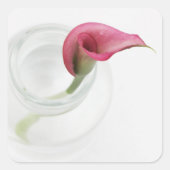 Calla Vierkante Sticker (Voorkant)