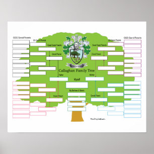 Callaghan Familieboom Poster
