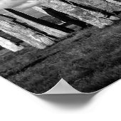 callanish-b&w poster (Hoek)