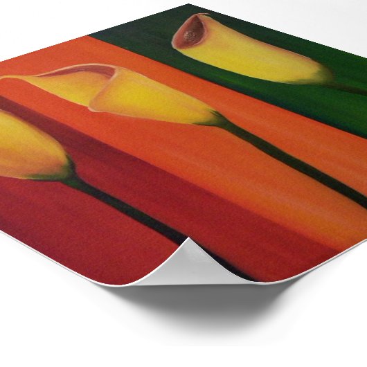 Callas in olie poster (Hoek)