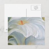 callas IV Briefkaart (Voorkant / Achterkant)
