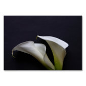 Calla's op een donkere achtergrond kaart (Achterkant)