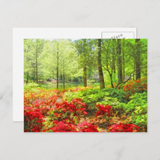 Callaway Azaleas Briefkaart (Voorkant / Achterkant)