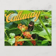 Callaway Garden Butterfly Flower Georgia Briefkaar