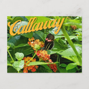 Callaway Garden Butterfly Flower Georgia Briefkaar Briefkaart