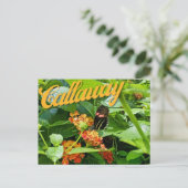 Callaway Garden Butterfly Flower Georgia Briefkaar Briefkaart (Staand voorkant)
