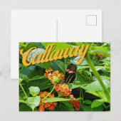 Callaway Garden Butterfly Flower Georgia Briefkaar Briefkaart (Voorkant / Achterkant)