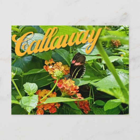 Callaway Garden Butterfly Flower Georgia Briefkaar Briefkaart (Voorkant)