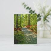 Callaway Gazebo Briefkaart (Staand voorkant)