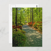 Callaway Gazebo Briefkaart (Voorkant / Achterkant)