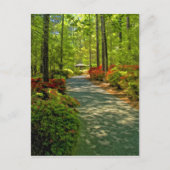 Callaway Gazebo Briefkaart (Voorkant)