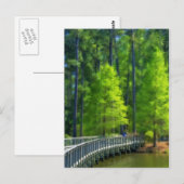 Callaway Landscape Briefkaart (Voorkant / Achterkant)