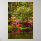 Callaway Landscape Poster (Voorkant)