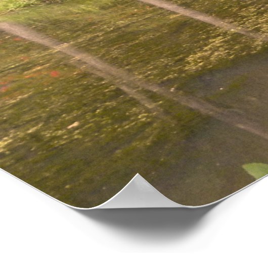 Callaway Memorial Chapel Poster (Hoek)