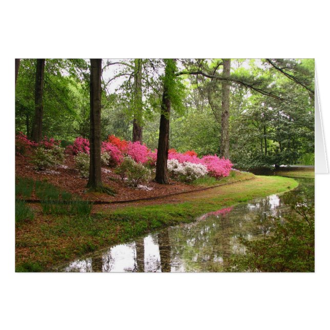 Callaway Stream (Voorkant Horizontaal)