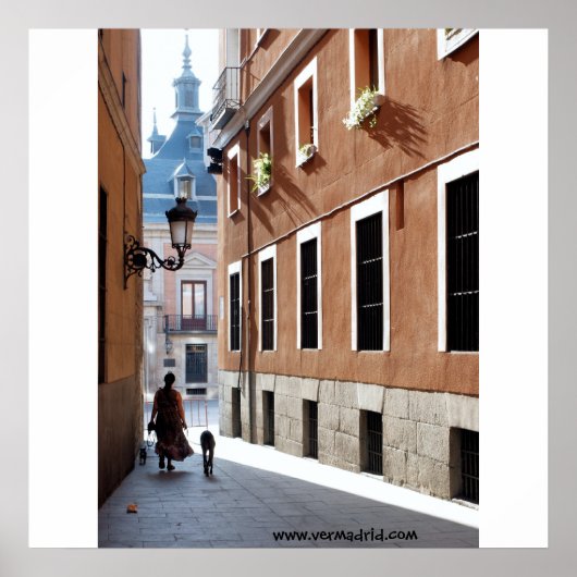 Calle de El Codo, Madrid Poster (Voorkant)